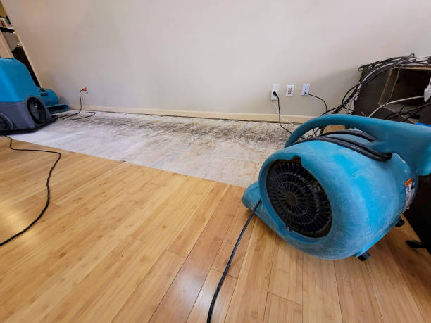Professional Structural Drying technician working in Severna Park, MD